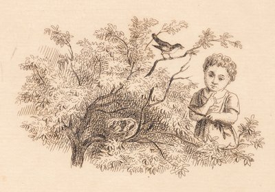 Illustration till "Halvhundra fabler för barn" av Hey av Martinus Rørbye