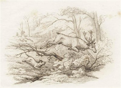 Illustration till "Halvhundra fabler för barn" av Hey av Martinus Rørbye