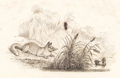 Illustration till "Halvhundra fabler för barn" av Hey av Martinus Rørbye