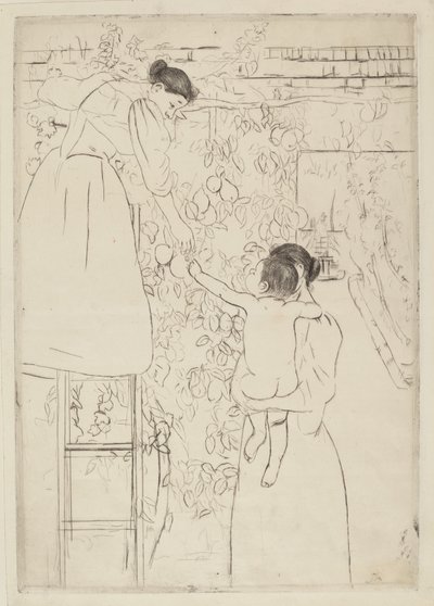 Samla frukt av Mary Cassatt