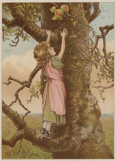 Flicka som klättrar för de sista äpplena (chromolitho) av Mary Ellen Edwards