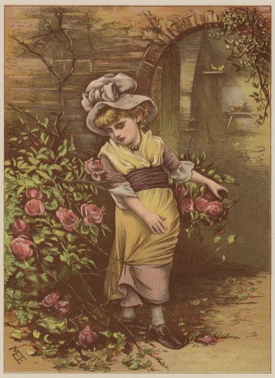 Tjej som plockar rosor (chromolitho) av Mary Ellen Edwards