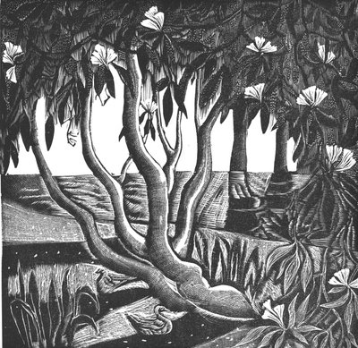 Rhododendron, Holland Park, 2006 (vinylgravyr) av Mary Kuper