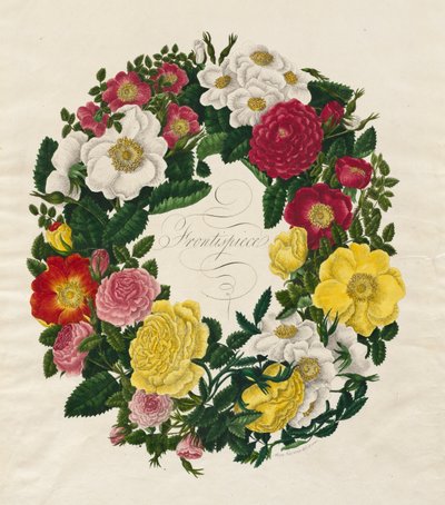 En krans av rosor, 1799. av Mary Lawrence