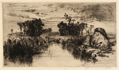 Cattails och träd av Mary Nimmo Moran