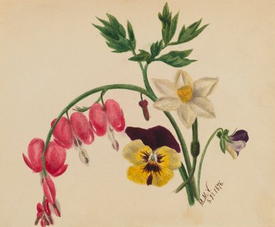 (Utan titel - blandade blommor) av Mary Vaux Walcott