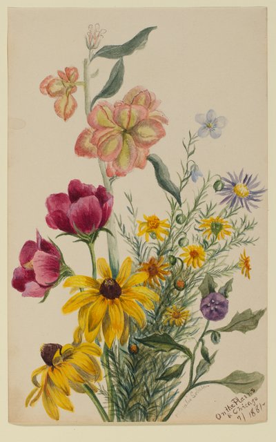 Grupp av blommor av Mary Vaux Walcott