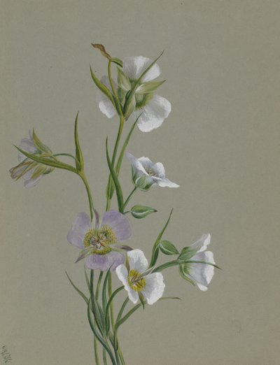 På vägen till monumentet, 1881. av Mary Vaux Walcott