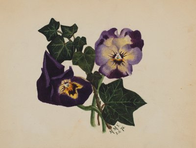 Utan titel (Penséer och murgröna) av Mary Vaux Walcott