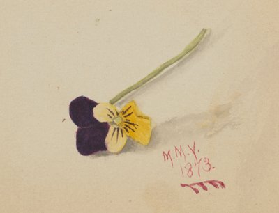 Utan titel (pensé) av Mary Vaux Walcott