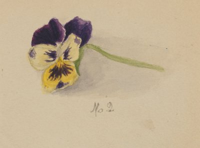 Utan titel (pensé) av Mary Vaux Walcott