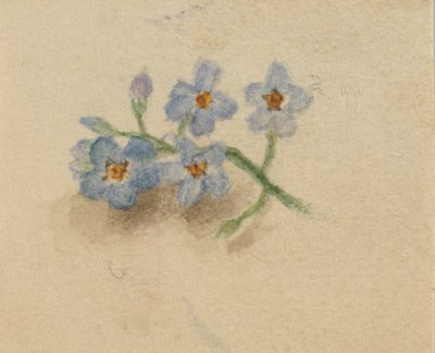 Utan titel, 1874. av Mary Vaux Walcott