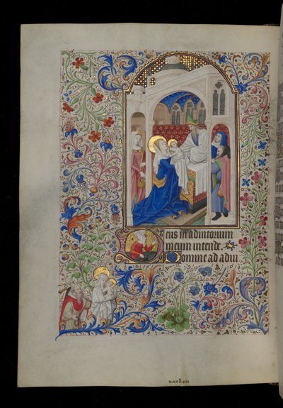 Presentation i templet av Master Dunois