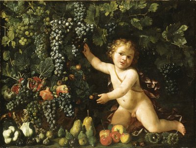 Druvor på vinrankan, granatäpplen, vindruvor och nypon i en korg, med fikon, äpplen, päron och kastanjer av en putto av Master of the Acquavella Still Life