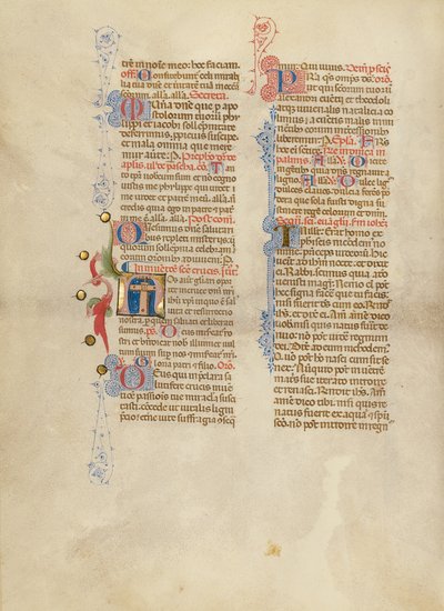 Inledande N: Korset av Master of the Brussels Initials