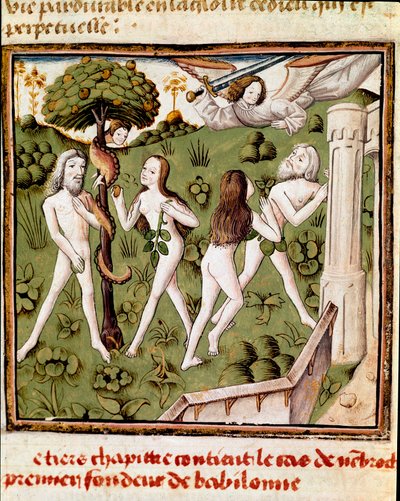 Adam och Eva plockar den försvarade frukten Miniatyr av mästaren av damernas mästare (1400-talet) från manuskriptet "" Des hommes illustres"" av Giovanni Boccaccio (Jean Boccaccio) (1313-1375). 1400-talet. Carpentras. Inguimbertins bibliotek av Master of the Champion des Dames