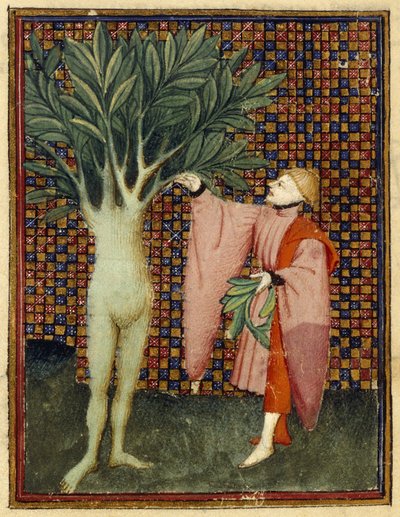 Apollo och Daphne av Master of the Cité des Dames