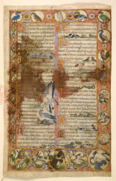 Lägg till. nr av Master of the Cocharelli Codex