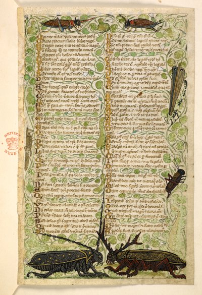 Lägg till. 28841, f.2: Hornbaggar, syrsor och ett lokus.  Avhandling om dygder och laster och en anonym prosahistoria på Sicilien (fragment)  Cocharelli av Master of the Cocharelli Codex