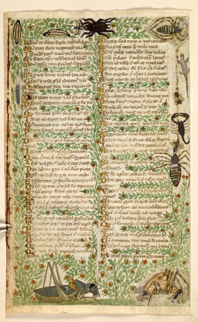 swedish av Master of the Cocharelli Codex