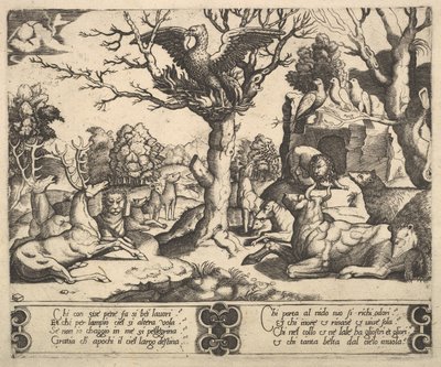 En Fenix satt på toppen av ett träd, vingarna öppna, ett sortiment av djur nedanför, 1530-60. av Master of the Die