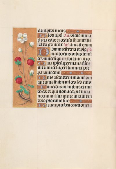 Hours of Queen Isabella the Catholic, Queen of Spain: Fol. 102v, c. 1500. av Master of the First Prayerbook of Maximillian