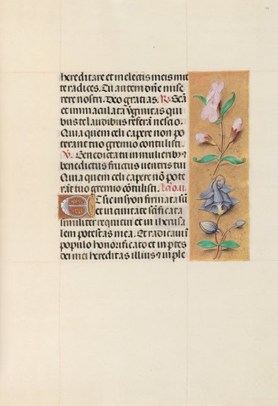 Hours of Queen Isabella the Catholic, Queen of Spain: Fol. 111r, c. 1500. av Master of the First Prayerbook of Maximillian
