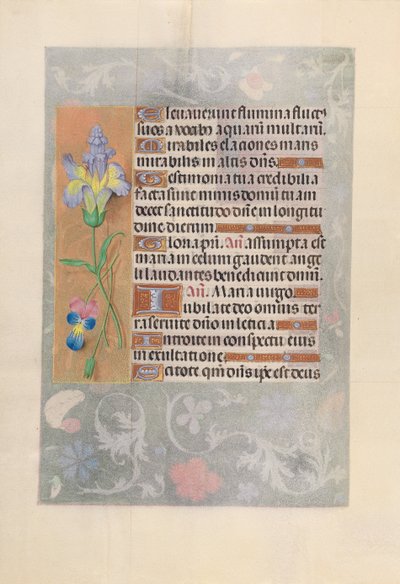 Hours of Queen Isabella the Catholic, Queen of Spain: Fol. 116v, c. 1500. av Master of the First Prayerbook of Maximillian