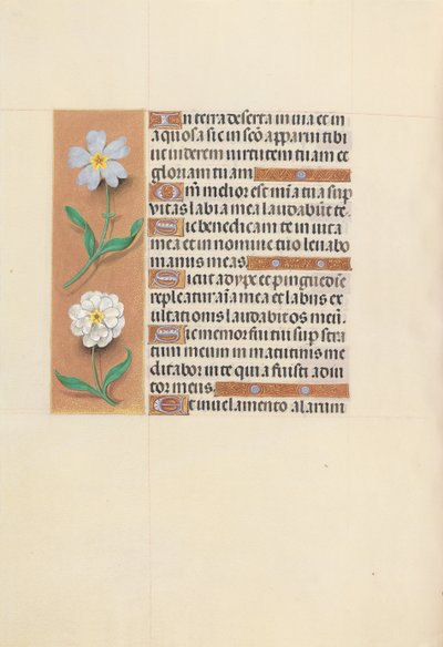 Hours of Queen Isabella the Catholic, Queen of Spain: Fol. 117v, c. 1500. av Master of the First Prayerbook of Maximillian