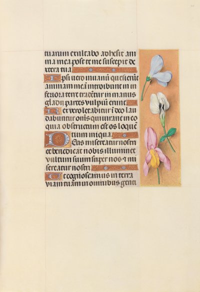 Hours of Queen Isabella the Catholic, Queen of Spain: Fol. 118r, c. 1500. av Master of the First Prayerbook of Maximillian