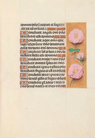 Hours of Queen Isabella the Catholic, Queen of Spain: Fol. 119r, c. 1500. av Master of the First Prayerbook of Maximillian