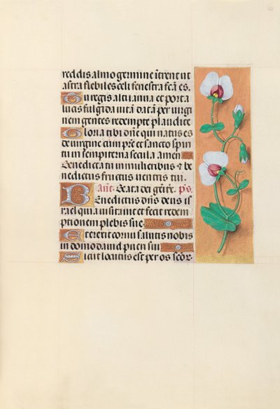 Hours of Queen Isabella the Catholic, Queen of Spain: Fol. 123r, c. 1500. av Master of the First Prayerbook of Maximillian
