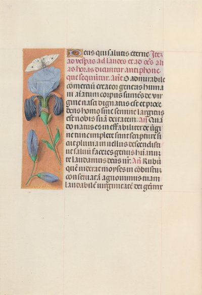 Hours of Queen Isabella the Catholic, Queen of Spain: Fol. 165v, c. 1500. av Master of the First Prayerbook of Maximillian