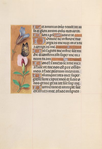 Hours of Queen Isabella the Catholic, Queen of Spain: Fol. 202v, c. 1500. av Master of the First Prayerbook of Maximillian
