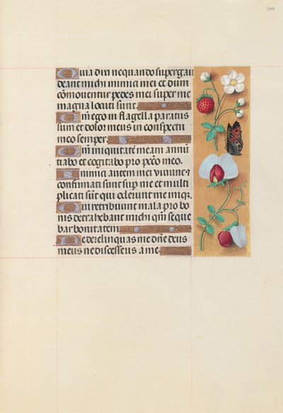 Hours of Queen Isabella the Catholic, Queen of Spain: Fol. 204r, c. 1500. av Master of the First Prayerbook of Maximillian