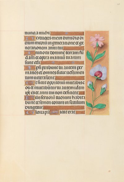 Hours of Queen Isabella the Catholic, Queen of Spain: Fol. 208r, c. 1500. av Master of the First Prayerbook of Maximillian