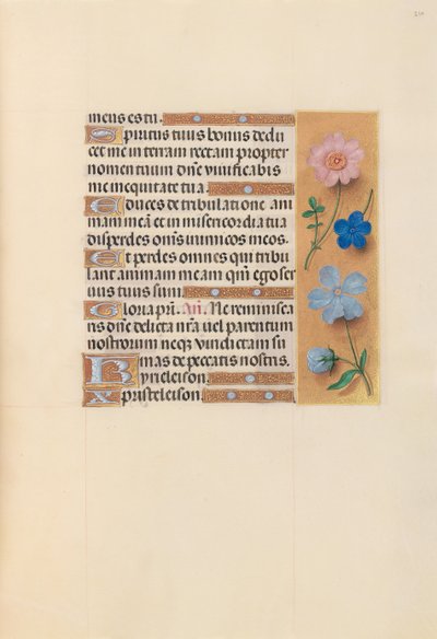 Hours of Queen Isabella the Catholic, Queen of Spain: Fol. 210r, c. 1500. av Master of the First Prayerbook of Maximillian