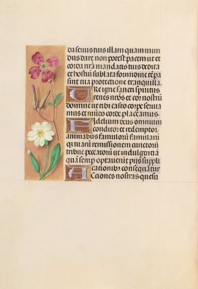 Hours of Queen Isabella the Catholic, Queen of Spain: Fol. 217v, c. 1500. av Master of the First Prayerbook of Maximillian