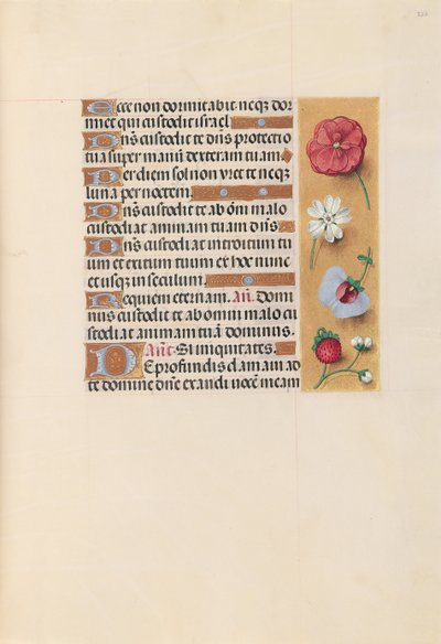 Hours of Queen Isabella the Catholic, Queen of Spain: Fol. 222r, c. 1500. av Master of the First Prayerbook of Maximillian