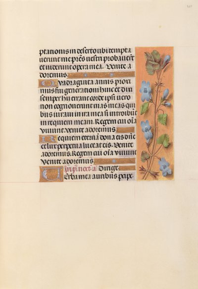 Hours of Queen Isabella the Catholic, Queen of Spain: Fol. 227r, c. 1500. av Master of the First Prayerbook of Maximillian