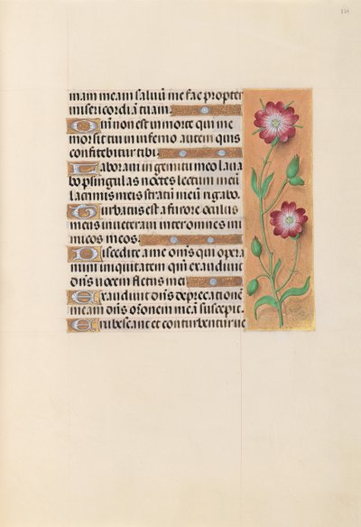 Hours of Queen Isabella the Catholic, Queen of Spain: Fol. 229r, c. 1500. av Master of the First Prayerbook of Maximillian
