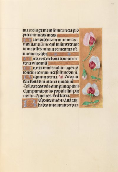 Hours of Queen Isabella the Catholic, Queen of Spain: Fol. 237r, c. 1500. av Master of the First Prayerbook of Maximillian