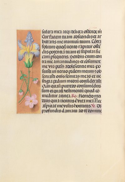Hours of Queen Isabella the Catholic, Queen of Spain: Fol. 237v, c. 1500. av Master of the First Prayerbook of Maximillian