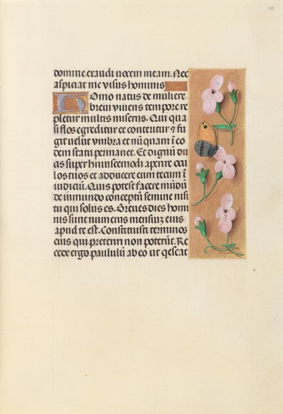 Hours of Queen Isabella the Catholic, Queen of Spain: Fol. 238r, c. 1500. av Master of the First Prayerbook of Maximillian