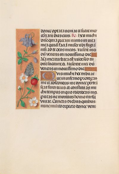 Hours of Queen Isabella the Catholic, Queen of Spain: Fol. 238v, c. 1500. av Master of the First Prayerbook of Maximillian
