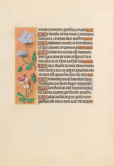 Hours of Queen Isabella the Catholic, Queen of Spain: Fol. 239v, c. 1500. av Master of the First Prayerbook of Maximillian