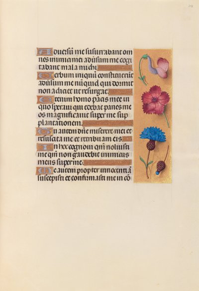Hours of Queen Isabella the Catholic, Queen of Spain: Fol. 242r, c. 1500. av Master of the First Prayerbook of Maximillian