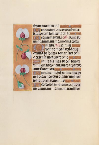 Hours of Queen Isabella the Catholic, Queen of Spain: Fol. 242v, c. 1500. av Master of the First Prayerbook of Maximillian