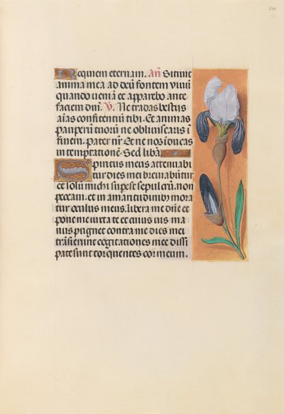 Hours of Queen Isabella the Catholic, Queen of Spain: Fol. 244r, c. 1500. av Master of the First Prayerbook of Maximillian