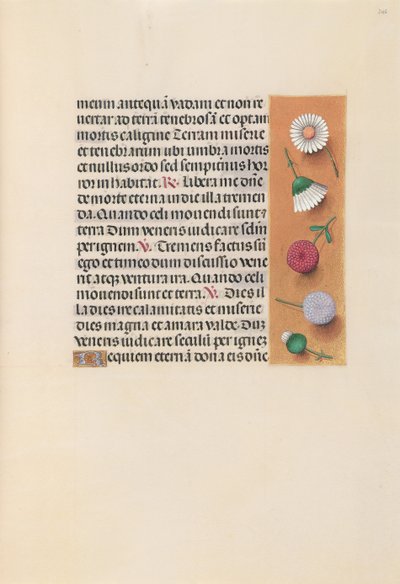 Hours of Queen Isabella the Catholic, Queen of Spain: Fol. 245r, c. 1500. av Master of the First Prayerbook of Maximillian
